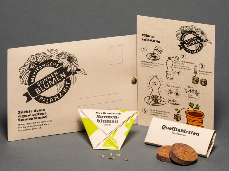 Pflanz-Kit «Sonnenblumen»