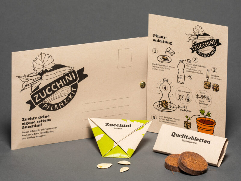 Pflanz-Kit «Zucchini»