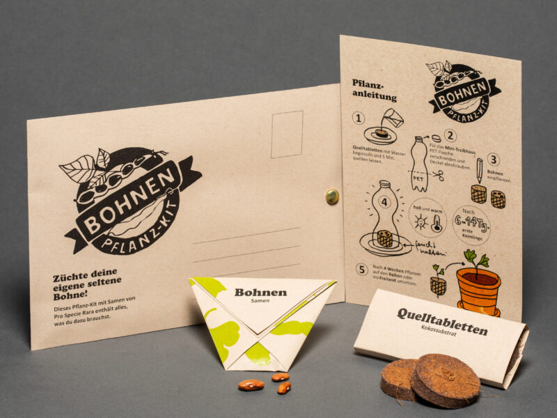 Pflanz-Kit «Bohnen»