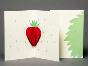3D Nähkarte Erdbeere
